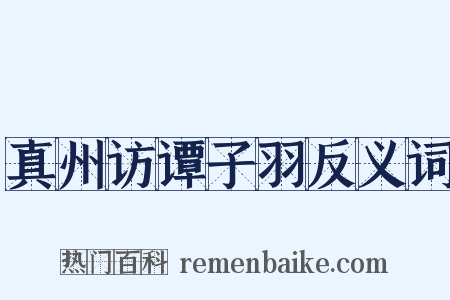 真州访谭子羽反义词是什么意思的图片